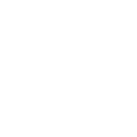 Long distance sex toy